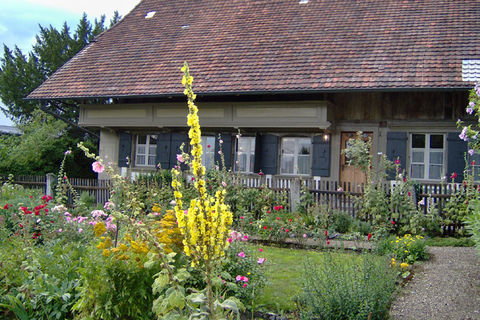 ueberschrift_ankerhaus.jpg