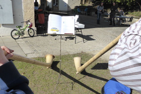 alphorn.jpg