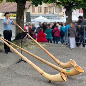 Alphorn